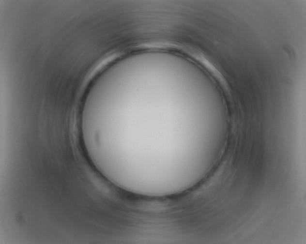 X0000114511229200910190922