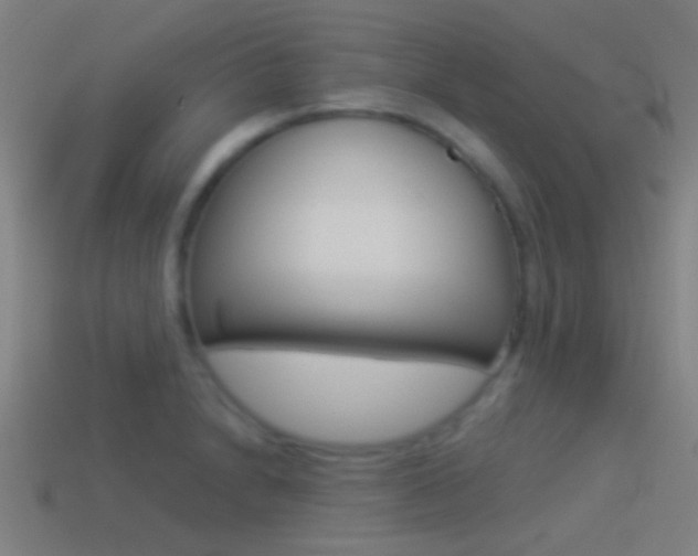 X0000114511230200910190922