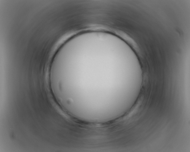 X0000114511231200910190922