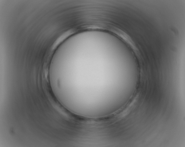X0000114511234200910190922