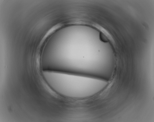 X0000114511238200910190922