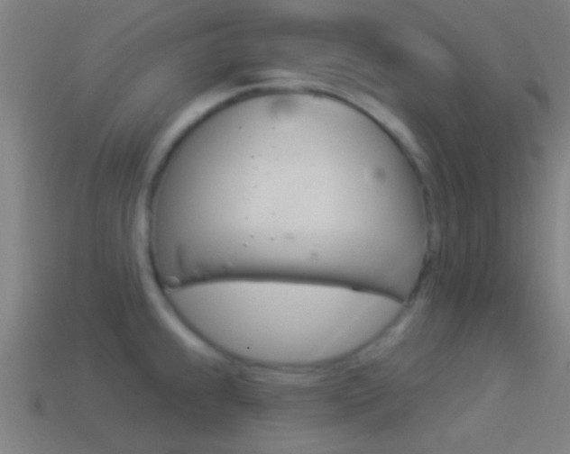 X0000114511239200910190922