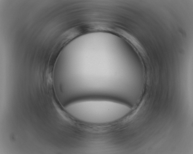 X0000114511241200910190922