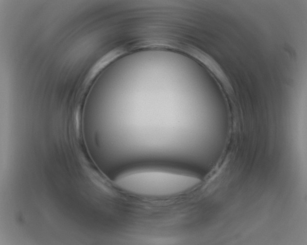 X0000114511242200910190922
