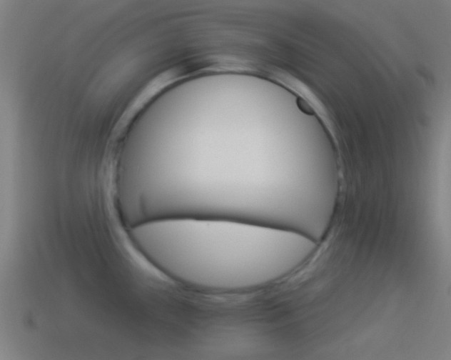 X0000114511243200910190922