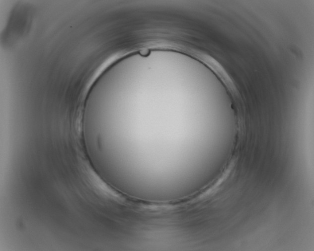 X0000114511244200910190922