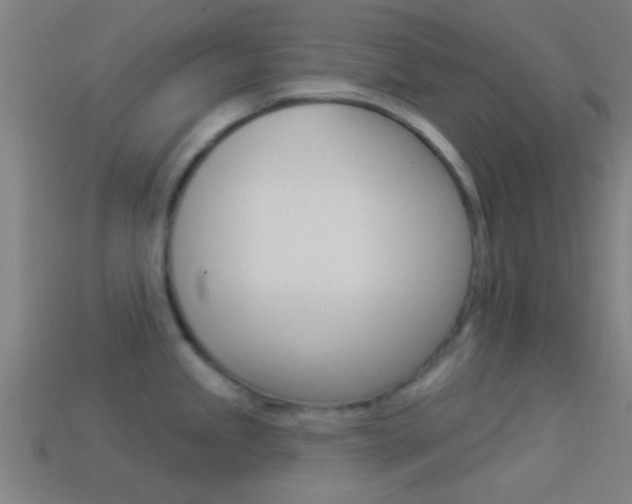X0000114511245200910190922