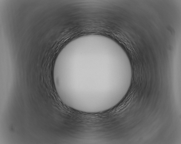 X0000114511249200910190922