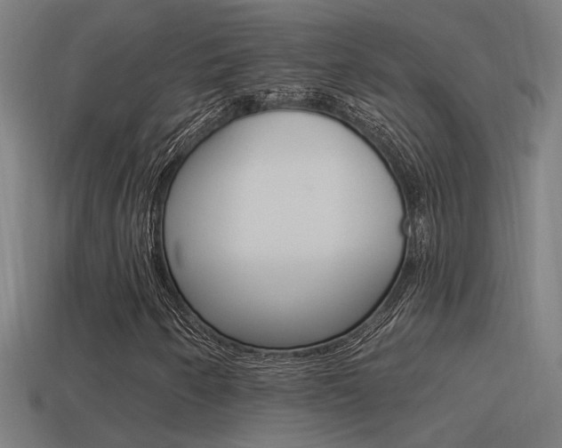 X0000114511250200910190922