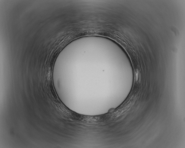 X0000114511251200910190922