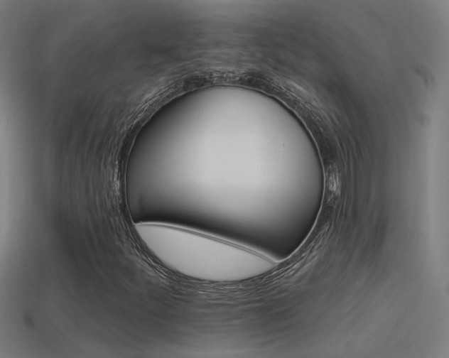 X0000114511252200910190922