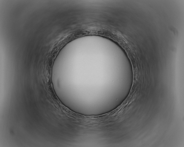 X0000114511253200910190922