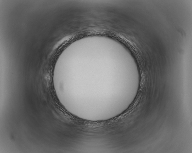 X0000114511254200910190922