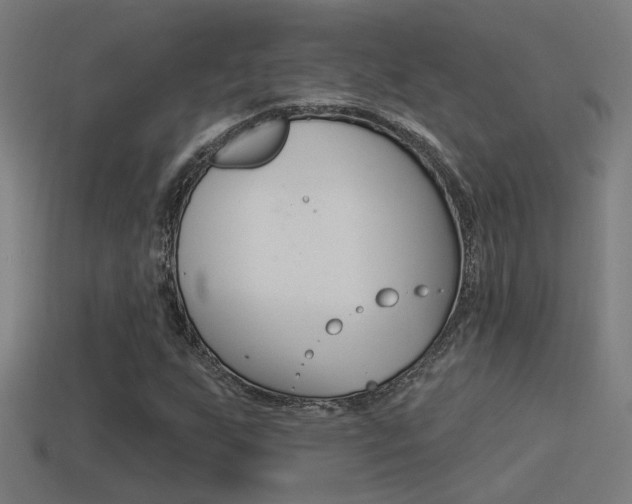 X0000114511255200910190922