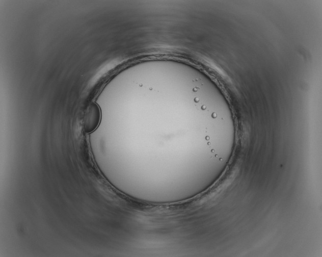 X0000114511259200910190922