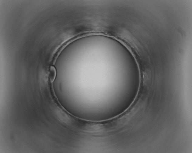 X0000114511260200910190922