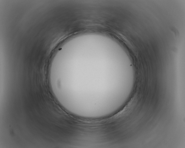 X0000114511261200910190922