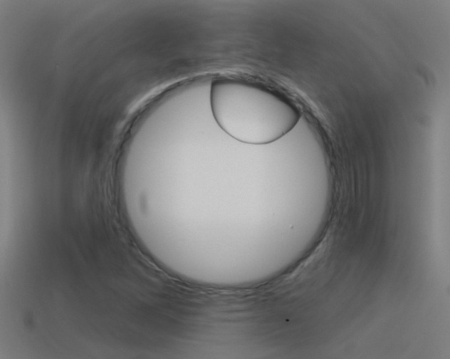 X0000114511262200910190922