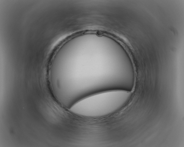 X0000114511263200910190922