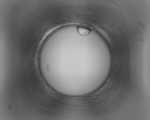 X0000114511264200910190922