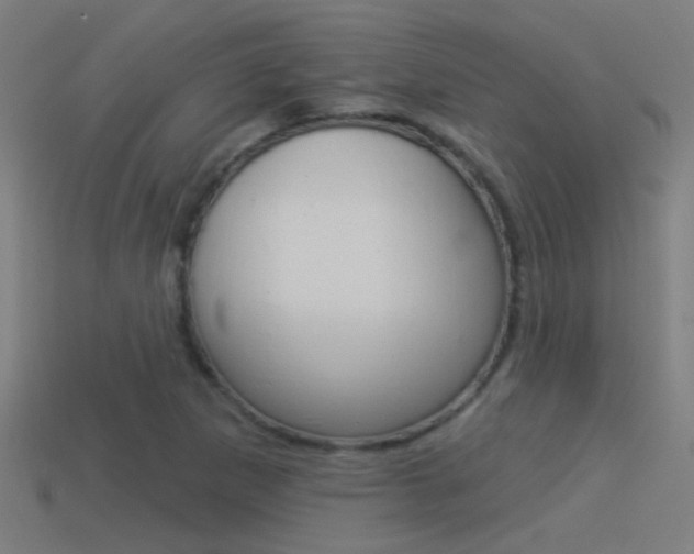 X0000114511265200910190922