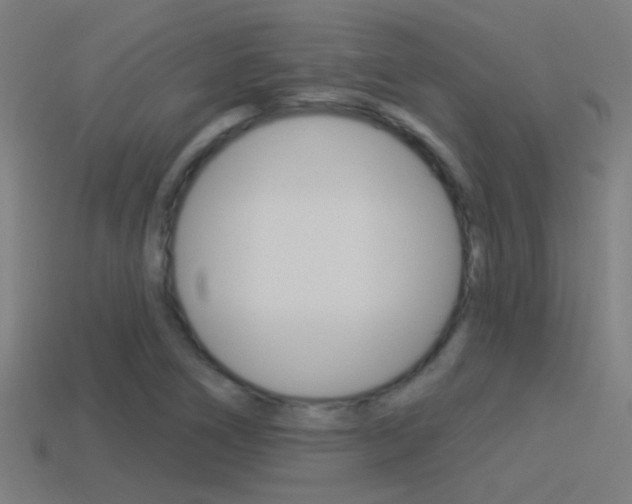 X0000114511266200910190922