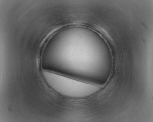 X0000114511268200910190922
