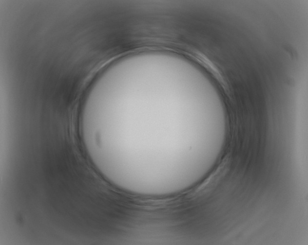 X0000114511269200910190922