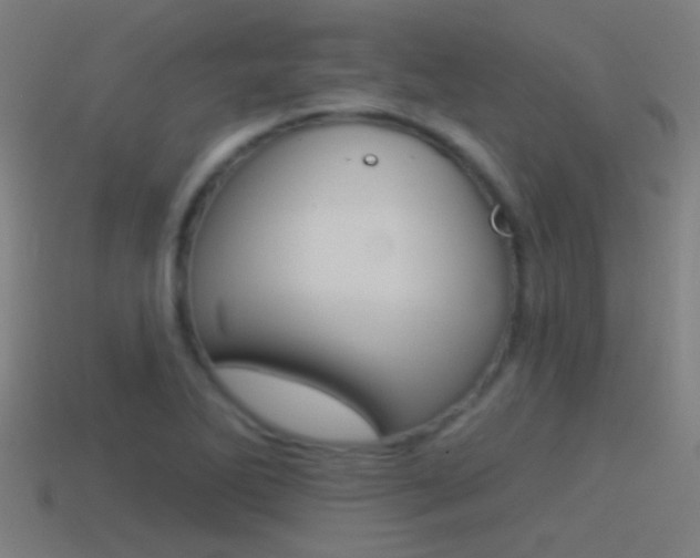 X0000114511270200910190922