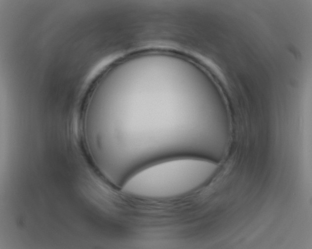 X0000114511271200910190922