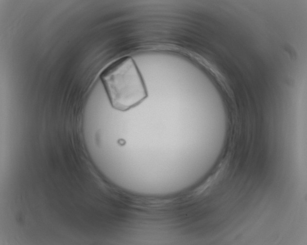 X0000114511273200910190921