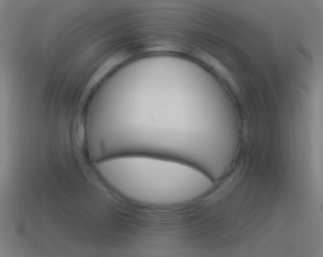 X0000114511274200910190921
