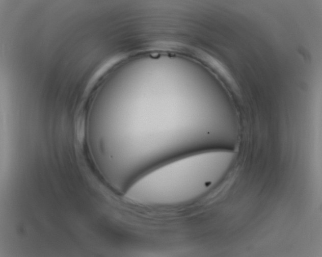 X0000114511275200910190921