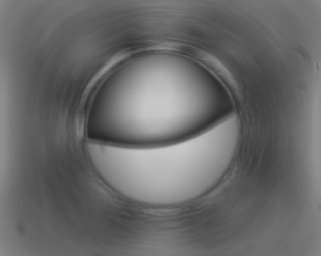 X0000114511276200910190921
