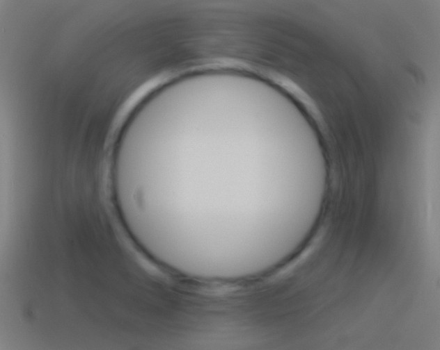 X0000114511278200910190921
