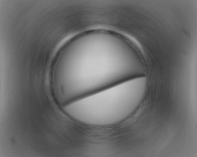 X0000114511279200910190921