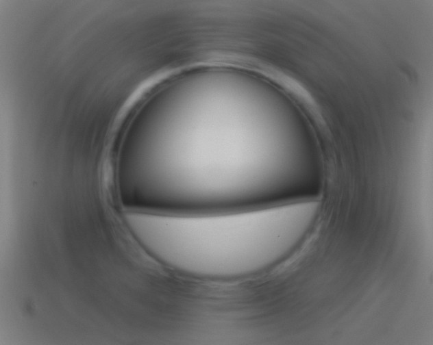X0000114511280200910190921