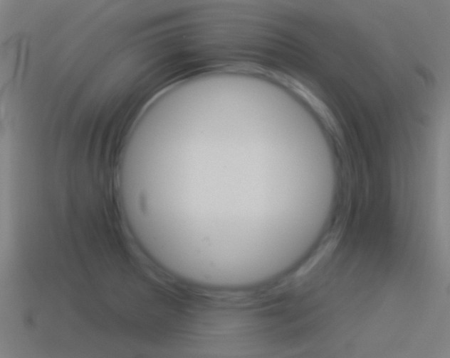 X0000114511281200910190921