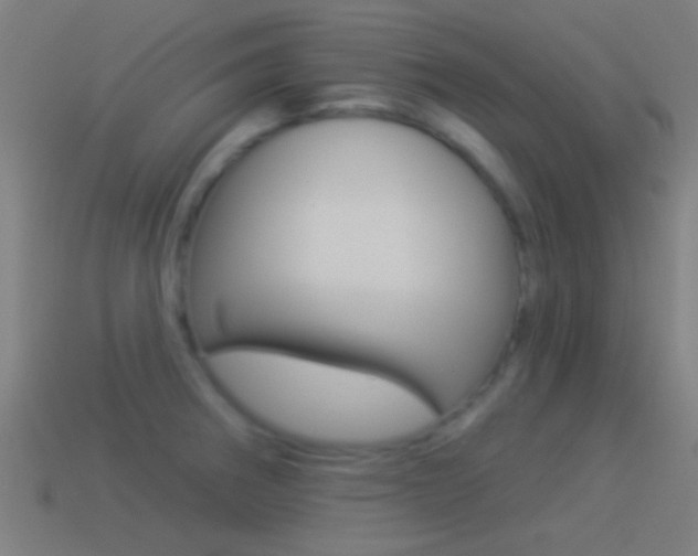 X0000114511282200910190921