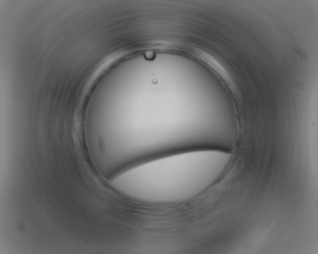 X0000114511283200910190921