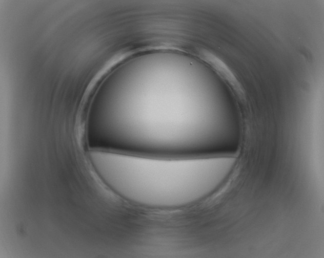 X0000114511284200910190921