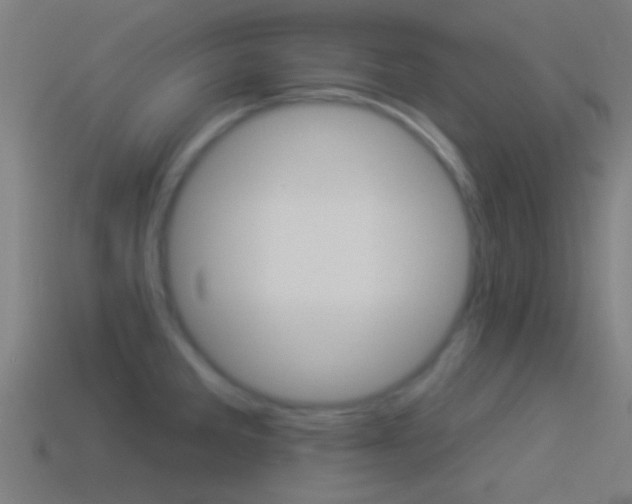 X0000114511285200910190921
