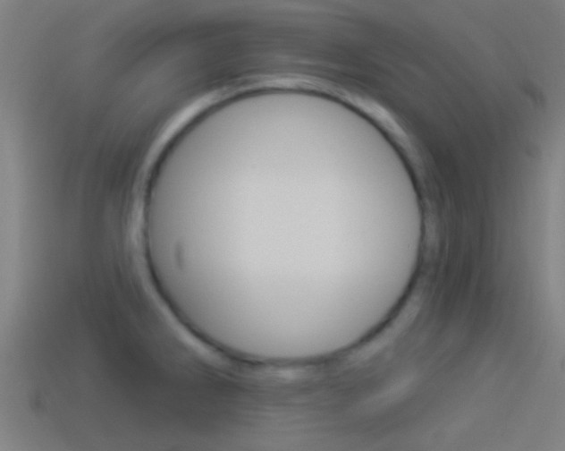 X0000114511286200910190921