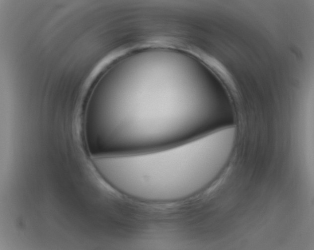 X0000114511288200910190921