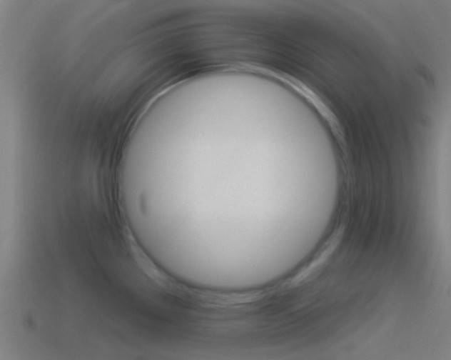 X0000114511289200910190921