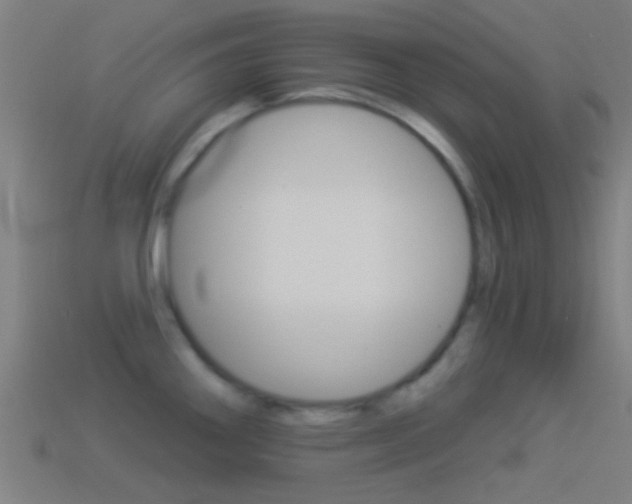 X0000114511290200910190921