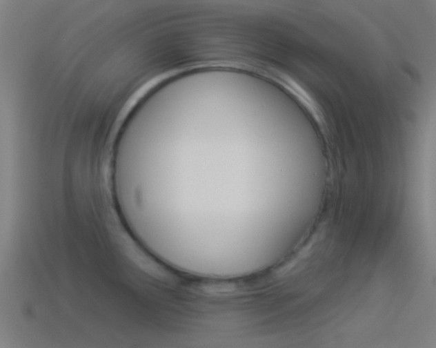 X0000114511291200910190921