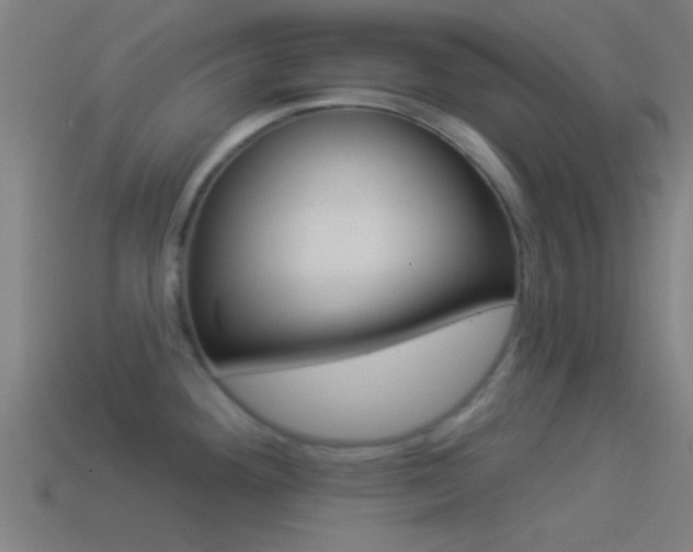 X0000114511292200910190921