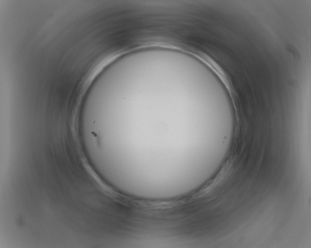 X0000114511293200910190921