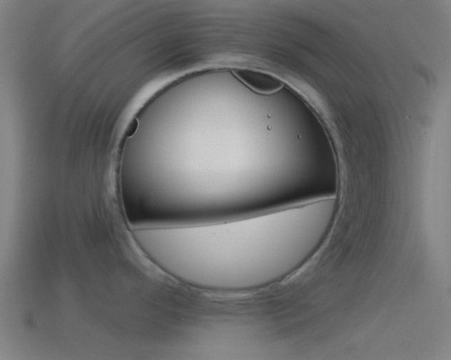 X0000114511296200910190921